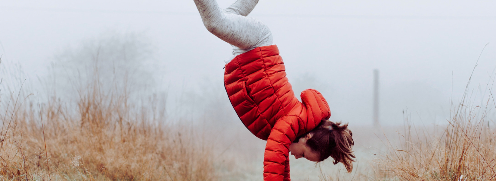 Why choose a down jacket? Fluff