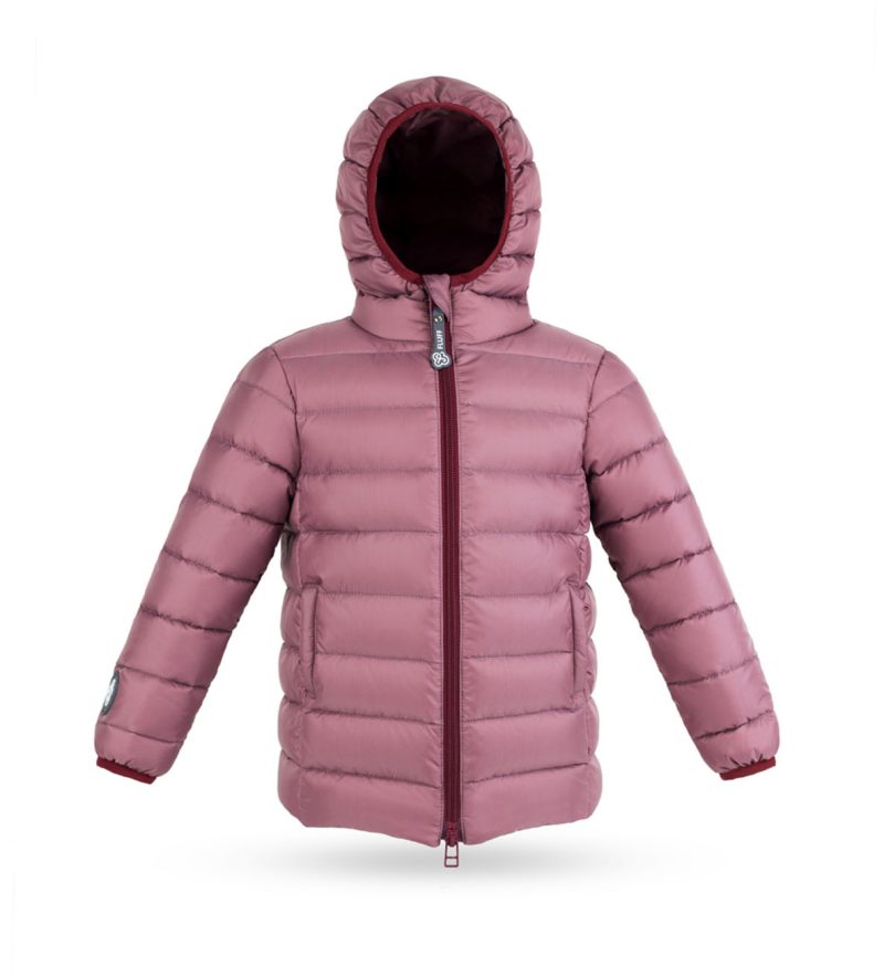 Kid's unisex winter down jacket Plum with Milk with hood, front photo, basic version